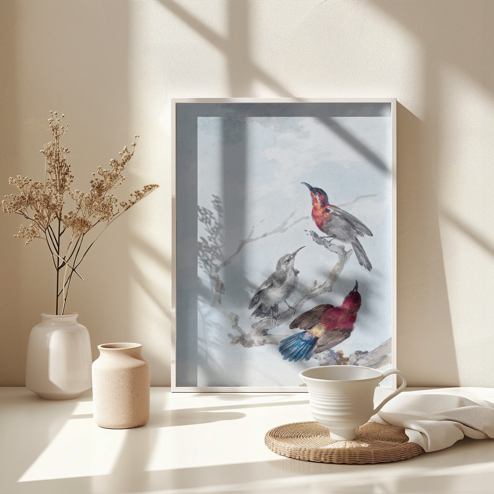 Three Crimson Sunbirds - Poster / Art Print - interiör