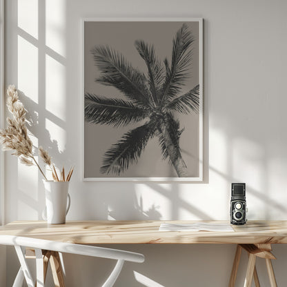 Palm Tree - Poster / Art Print - interiör