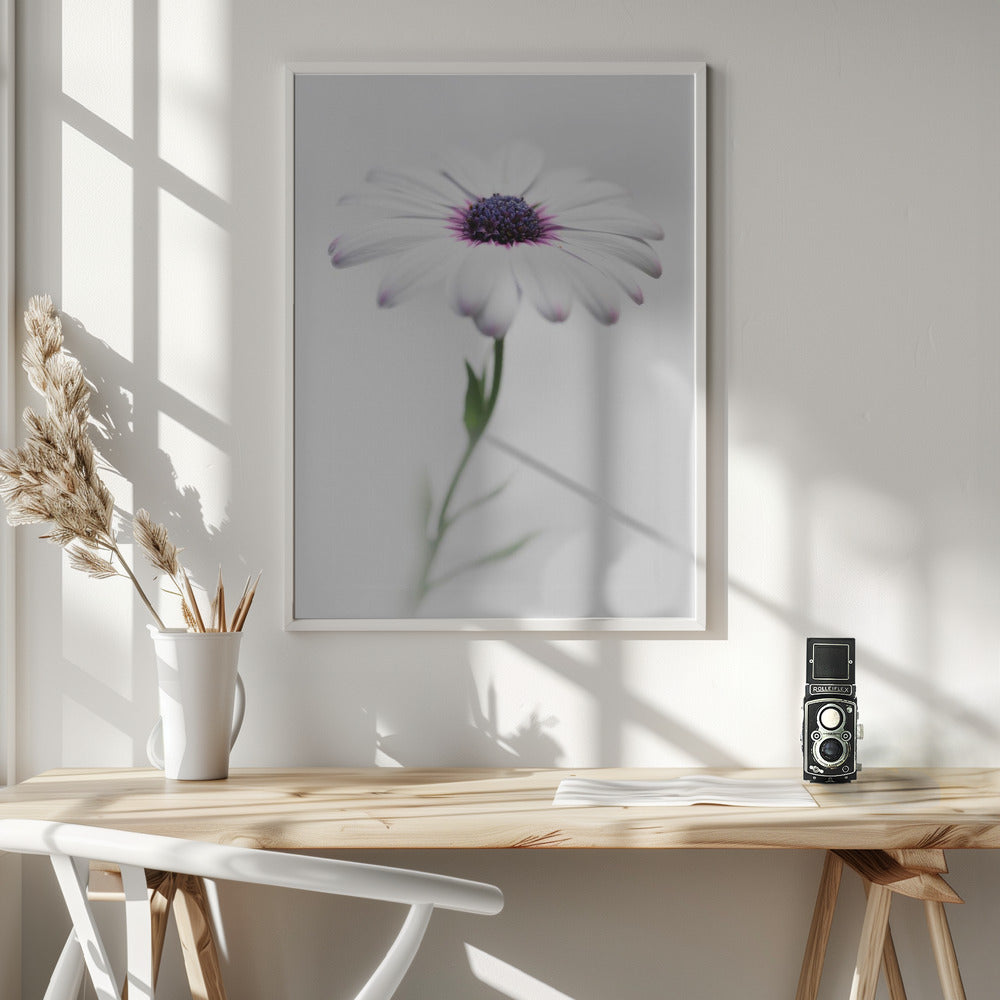 In my garden_3 - Poster / Art Print - interiör