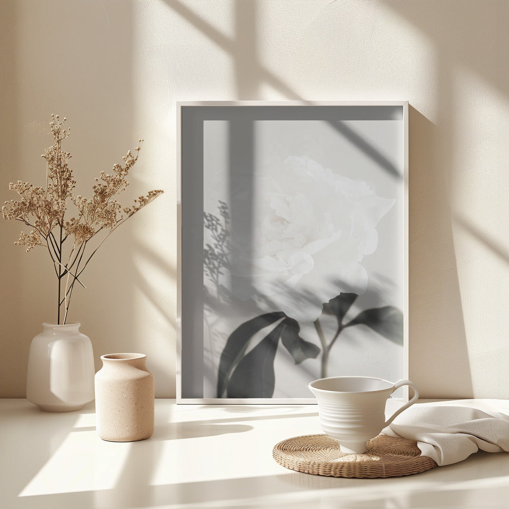 Peony 03 - Poster / Art Print - interiör