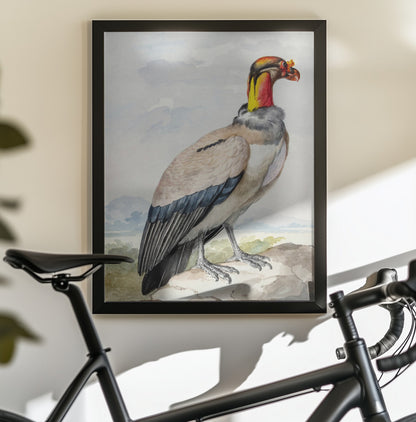 Stone Curlew - Poster / Art Print - interiör