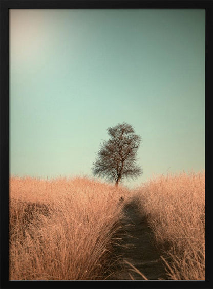 A minimalist photograph of a single bare tree standing alone on a gentle slope in a field of golden, dried grass under a clear, pale teal sky. A narrow path winds its way through the tall grass toward the tree. Print
