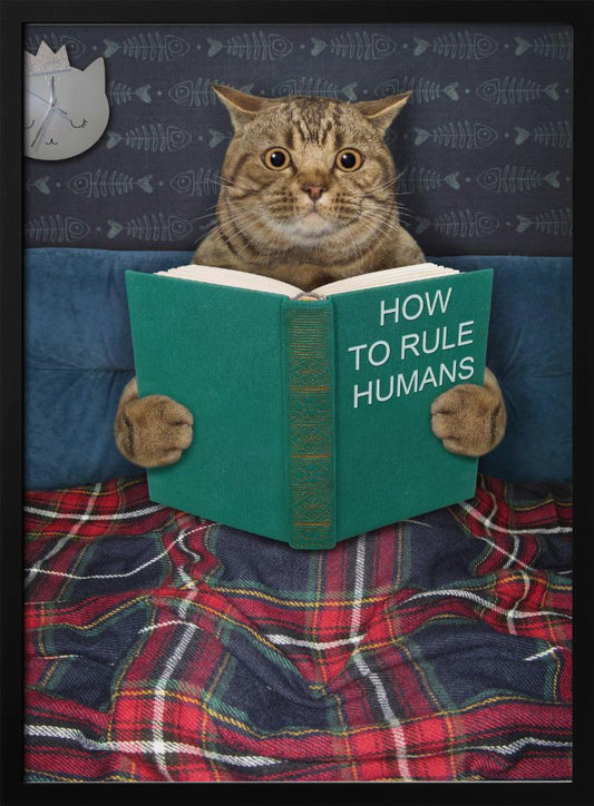 A humorous picture of a brown tabby cat sitting up in bed, intently reading a green book titled 'How To Rule Humans.' The cat is tucked under a red and blue plaid blanket, against a blue headboard with fishbone-patterned wallpaper and a cat-shaped clock in the background. Print