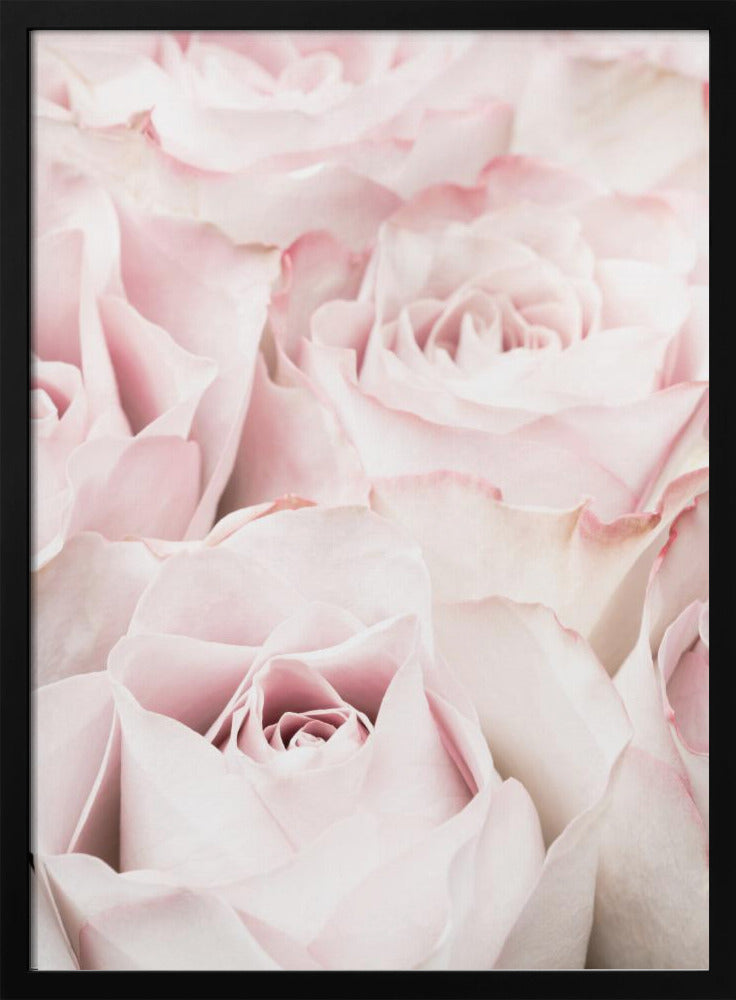 A close-up, soft-focus photograph of a bouquet of delicate, light pink roses filling the entire frame, enclosed in a simple black border. Poster