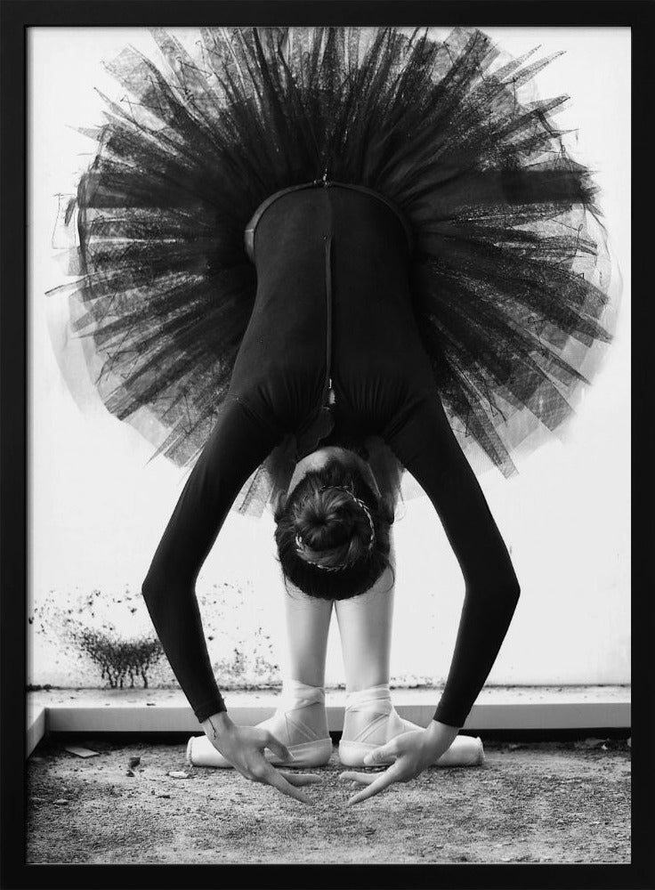 A striking black and white photograph of a ballerina in a deep forward bend. Her body is clad in a black leotard and white tights, with a voluminous black tutu fanning out vertically behind her. Her hair is tied in a bun, and her hands gracefully reach towards her feet, which are in white pointe shoes. Artwork