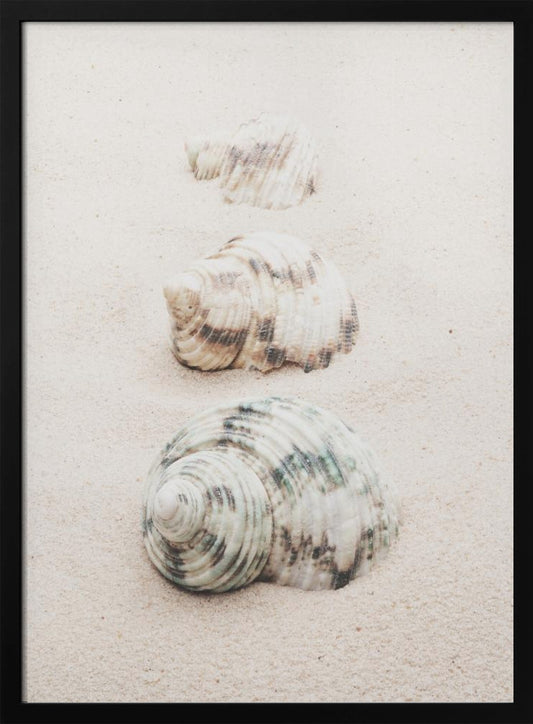 A close-up photograph of three seashells arranged in a vertical line on pale, fine-grained sand. The shells increase in size from top to bottom, with the largest, a white and green patterned turban shell, in the foreground. The image has a soft, serene quality and is enclosed in a black frame. Print