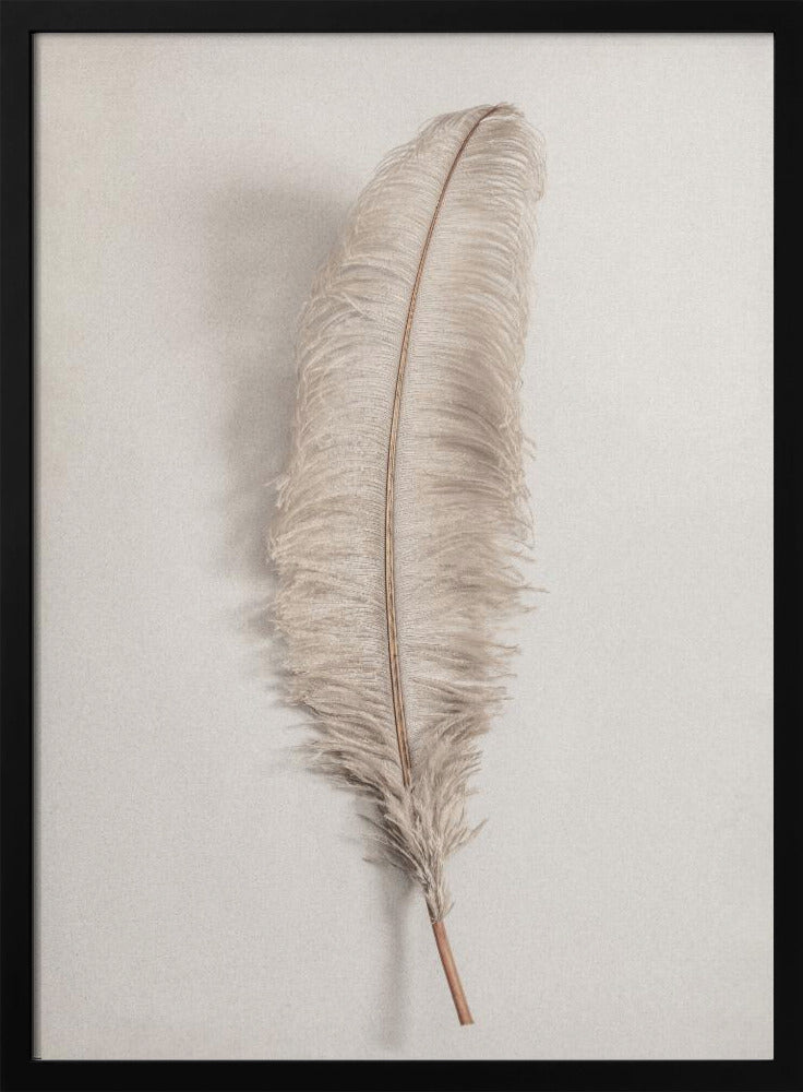 A minimalist photograph of a single, delicate, light beige feather with a thin brown quill, set vertically against a pale, textured gray background and surrounded by a thin black frame. Artwork