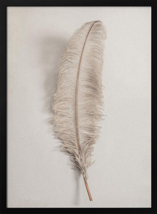 A minimalist photograph of a single, delicate, light beige feather with a thin brown quill, set vertically against a pale, textured gray background and surrounded by a thin black frame. Artwork