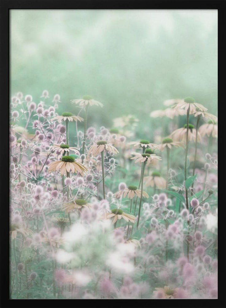 A soft-focus, dreamy photograph of a field of wildflowers, including pale coneflowers with green centers and fuzzy pink thistles, set against a hazy, light green background, creating an ethereal and serene atmosphere. The image is shown within a thin black frame. Poster
