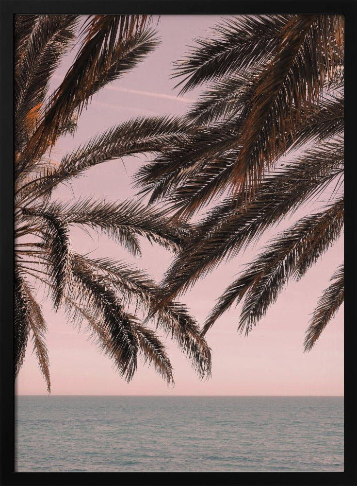 Dark palm tree fronds hang over a calm teal ocean under a soft pink sky, creating a serene and tropical atmosphere. The view is from under the palm tree looking out towards the water. Artwork