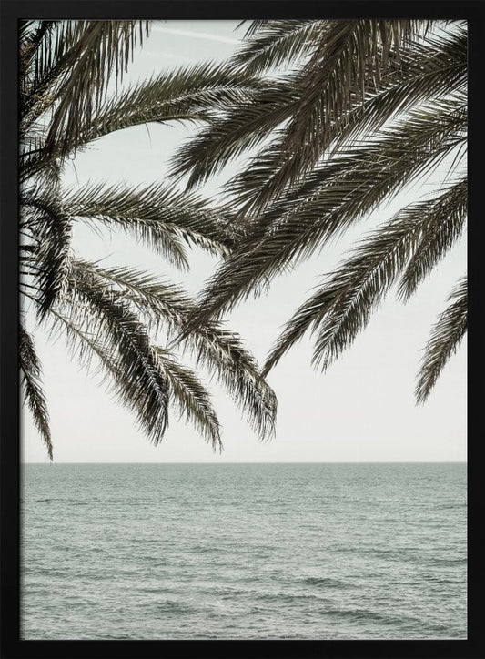 A close-up view of dark green palm tree fronds hanging over a calm, muted sage green ocean under a pale, overcast sky. The photograph has a serene and tranquil mood and is displayed in a black frame. Wall Art