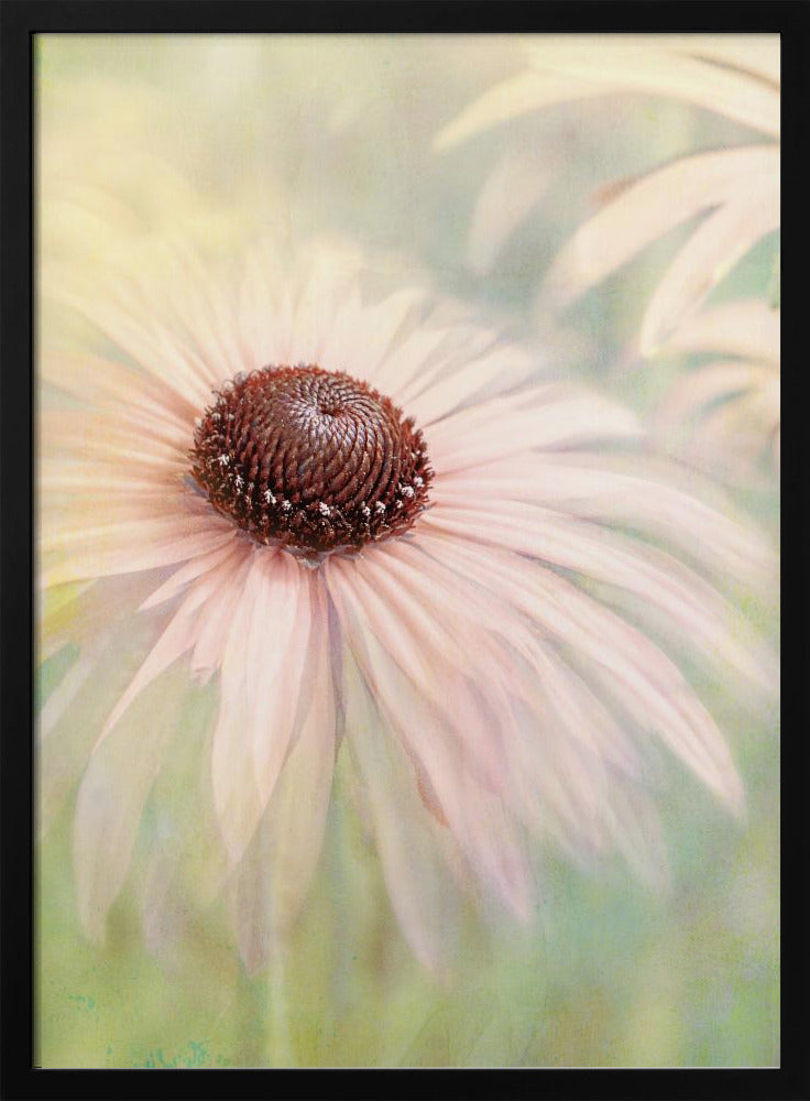 A soft-focus, artistic closeup of a pale pink coneflower with a prominent dark brown, textured center. The background is a dreamy, painterly blend of soft greens and yellows, giving the image an ethereal quality. Wall Art