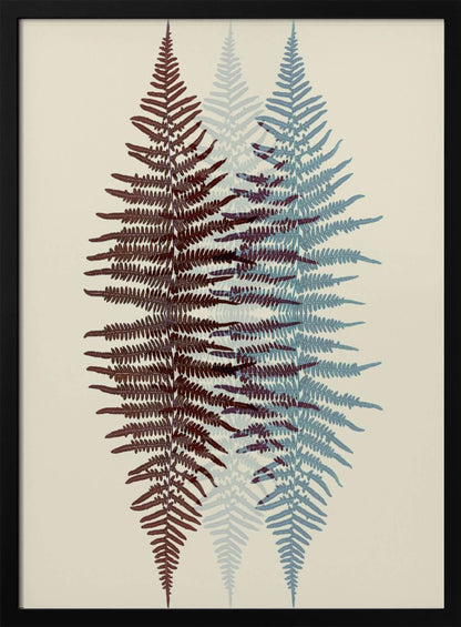 A modern botanical art print featuring three overlapping fern fronds against a cream background. The frond on the left is reddish-brown, the one on the right is blue, and a fainter blue frond is visible in the middle, creating a layered, translucent effect. The entire piece is enclosed in a simple black frame. Wall Art