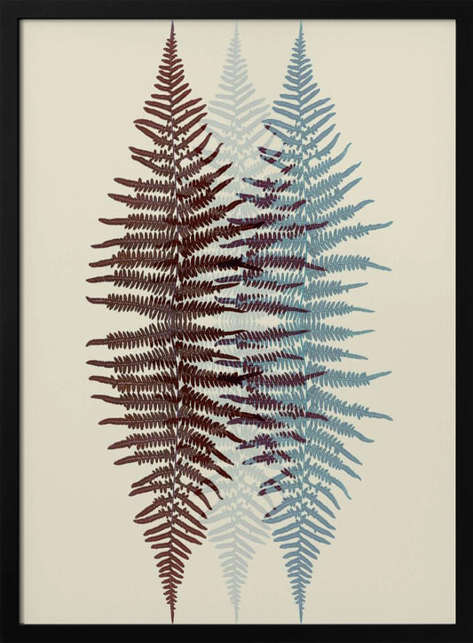 A modern botanical art print featuring three overlapping fern fronds against a cream background. The frond on the left is reddish-brown, the one on the right is blue, and a fainter blue frond is visible in the middle, creating a layered, translucent effect. The entire piece is enclosed in a simple black frame. Wall Art