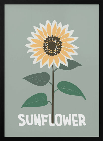 A stylized illustration of a single sunflower against a muted sage green background. The flower has yellow and white petals, a dark brown center, and a thin brown stem with green leaves. At the bottom, the word 'SUNFLOWER' is written in a bold, white, sans-serif font. The artwork is presented within a simple black frame. Decor