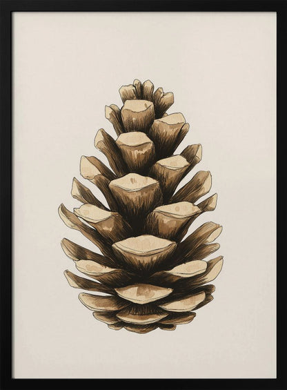 A detailed watercolor and ink illustration of a single brown pinecone, centered against a light cream background and displayed in a thin black frame. Artwork