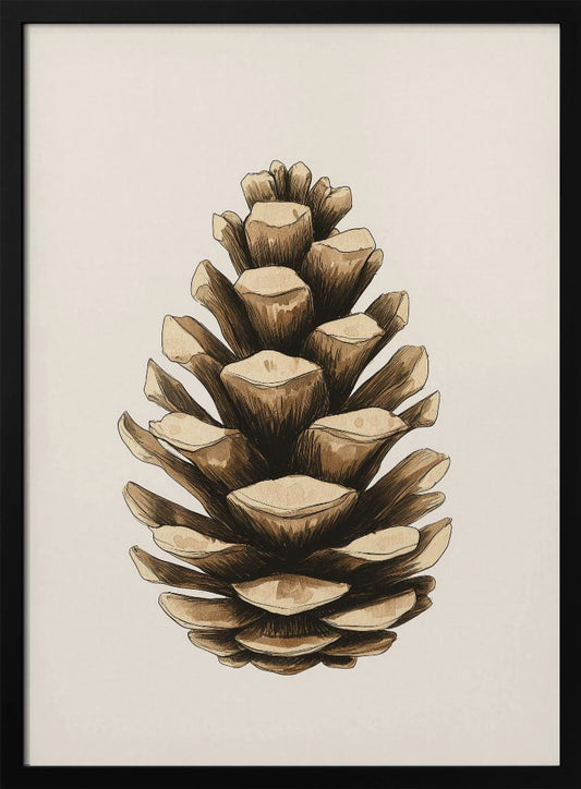 A detailed watercolor and ink illustration of a single brown pinecone, centered against a light cream background and displayed in a thin black frame. Artwork
