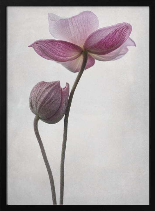 An abstract art print or poster titled 'A Little Touch', suitable for modern decor. Wall Art