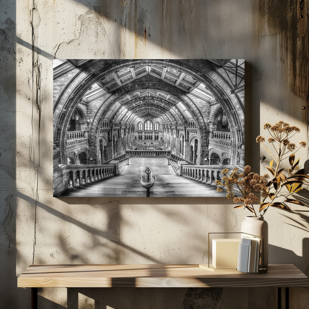 A dramatic black and white photograph of the grand interior of the Natural History Museum in London, taken from the top of the main staircase looking down into the vast Hintze Hall. The symmetrical composition highlights the ornate Romanesque Revival architecture, with its towering stone arches, intricate carvings, and a high, vaulted ceiling with skylights. Artwork