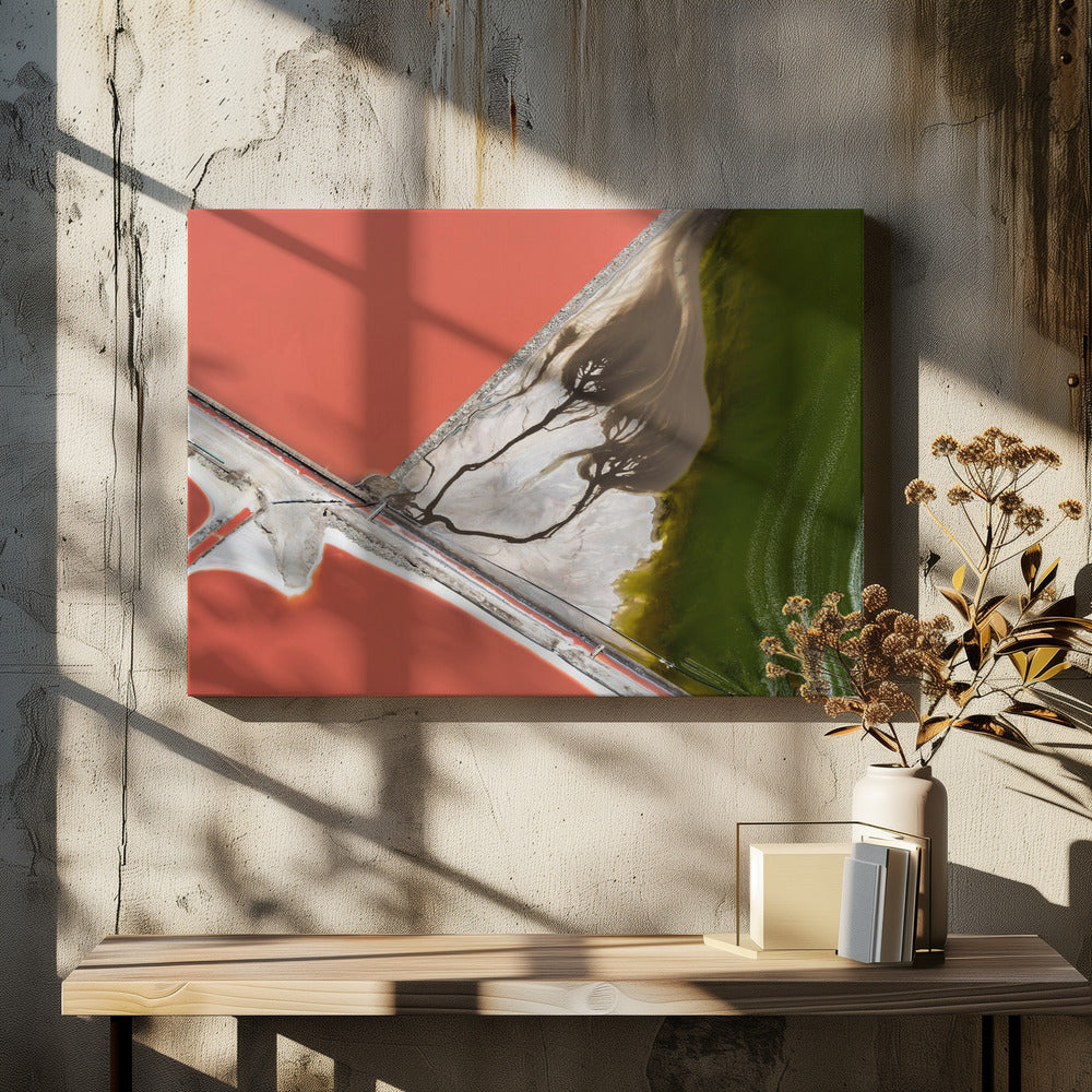An abstract aerial photograph in a silver frame, showing a stark landscape divided into sections of coral-red water, green water, and a white salt flat with dark, tree-like river patterns. Print
