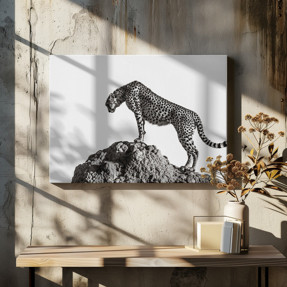 A high-contrast, black and white photograph of a cheetah standing atop a textured rock formation against a plain white background. The cheetah is shown in profile, looking downwards. The image is enclosed in a silver frame. Artwork