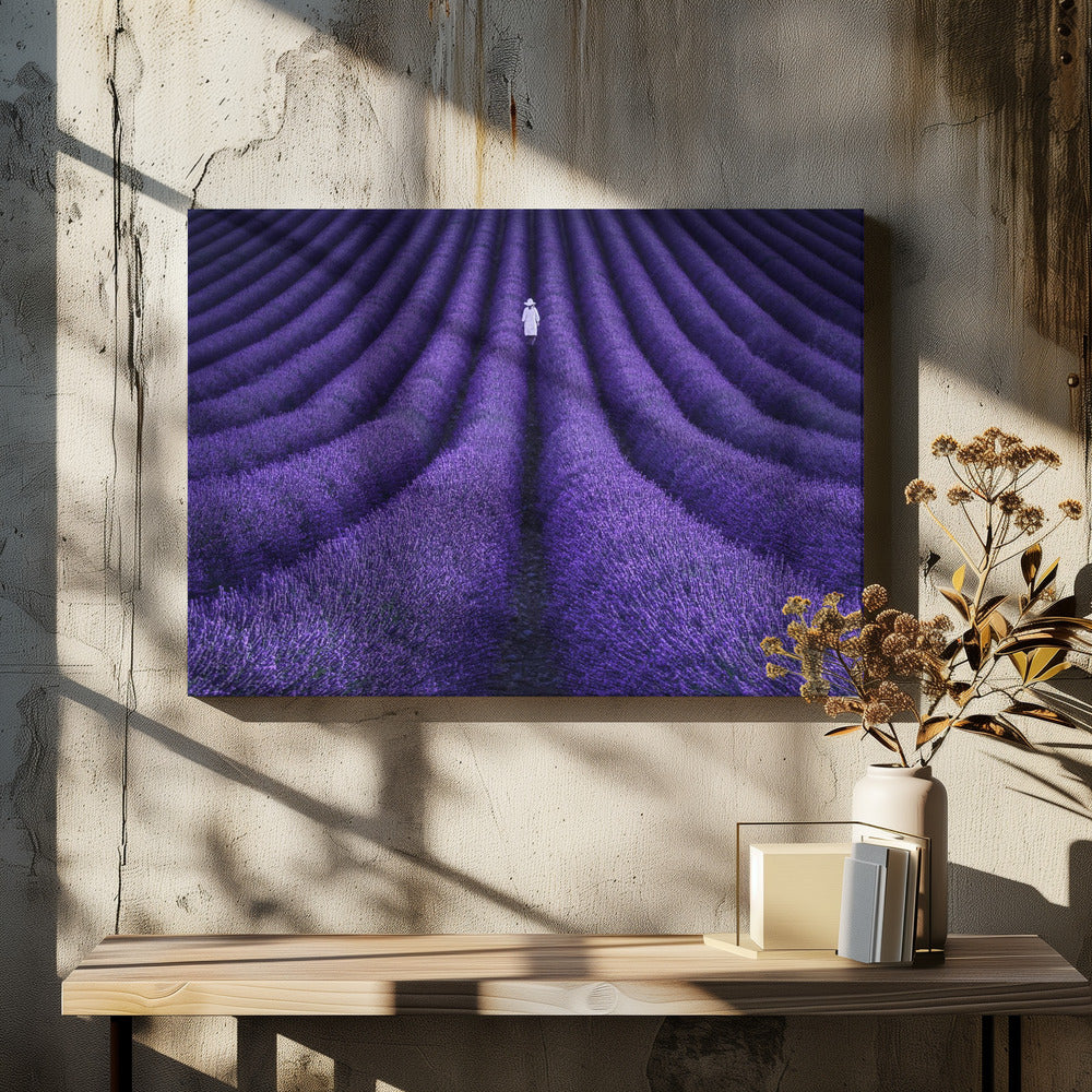 A high-angle photograph of a vast lavender field with the flowers planted in long, curving rows, creating a mesmerizing purple pattern. A single person wearing a white dress and a hat walks away from the camera down a path between the rows. The image is presented within a silver-colored frame. Artwork