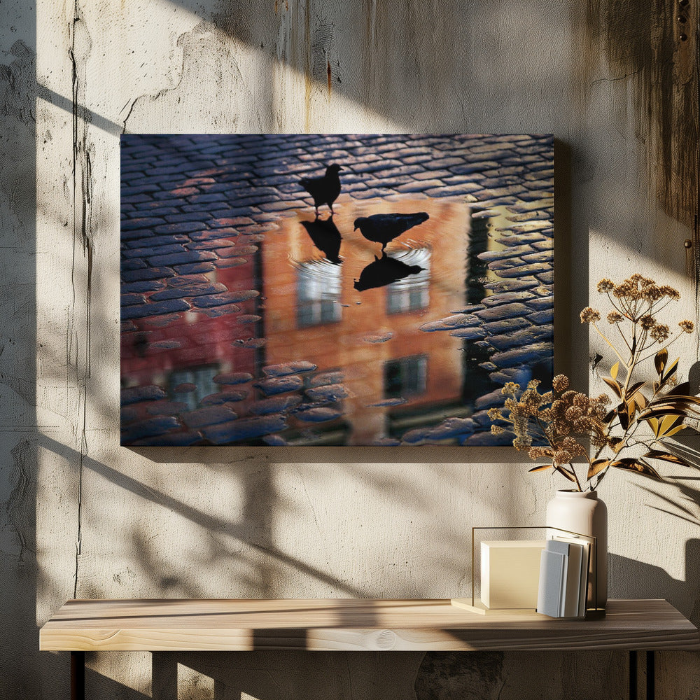 An artistic photograph of two silhouetted birds standing in a puddle on a wet cobblestone street. The puddle reflects an orange building with windows, and the birds' own reflections are visible beneath them, creating ripples in the water. The image is presented in a silver frame. Decor