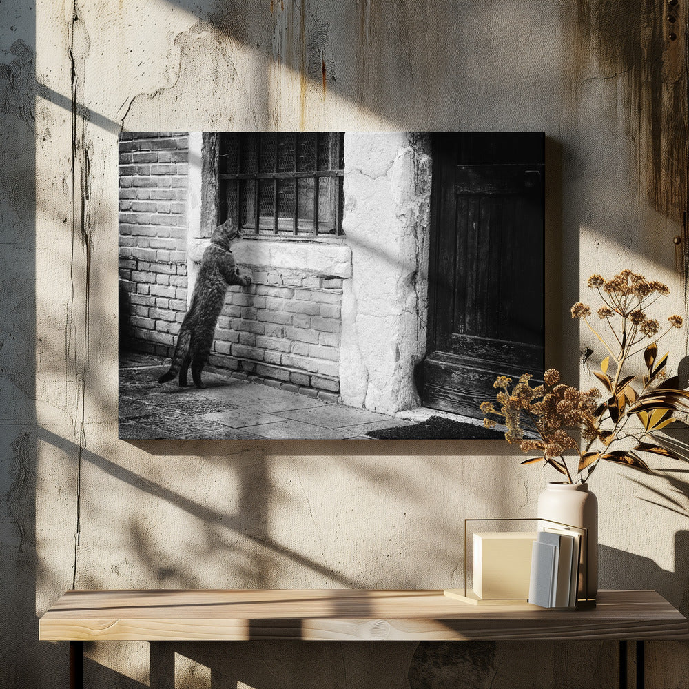 A black and white framed photograph of a cat standing on its hind legs, with its front paws on a brick wall, peering curiously into a barred window. The setting is a rustic alley with an old wooden door to the right. Wall Art
