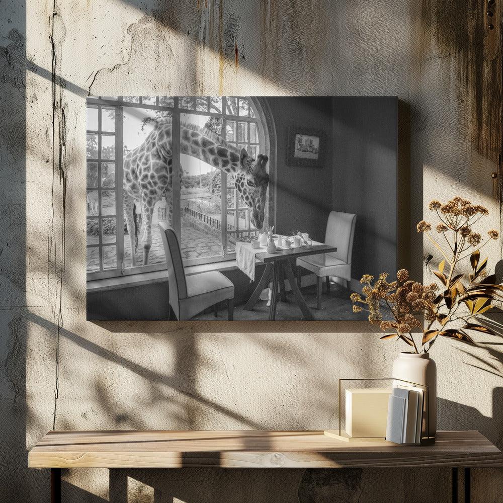 A humorous black and white photograph of a large giraffe poking its head through an open, arched window into a room to look at a small table set for breakfast for two. Decor