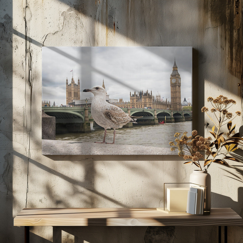 A close-up photograph of a seagull standing on a stone ledge with the River Thames and London's Big Ben clock tower and the Houses of Parliament in the background under a cloudy sky. Decor