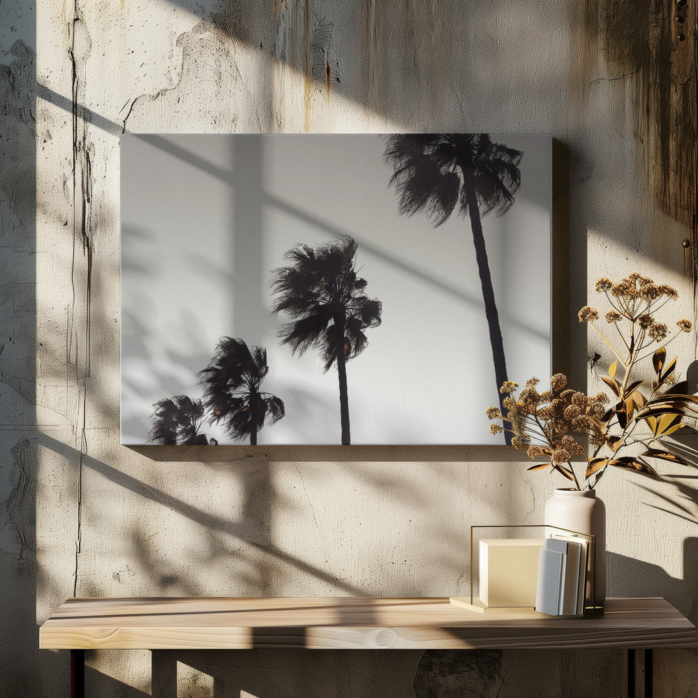 A framed black and white photograph of four silhouetted palm trees of increasing height, arranged diagonally against a plain, light grey sky. The palm fronds are blurred, suggesting they are blowing in the wind. Decor