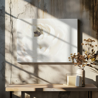 A soft-focus, macro photograph of a white ranunculus flower, its delicate, layered petals filling the frame. The image has a bright, ethereal quality and is presented in a brushed silver frame. Wall Art