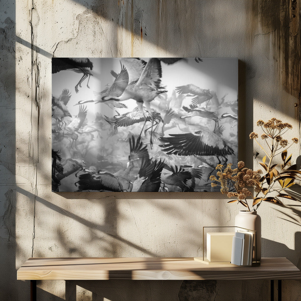 A dynamic and chaotic black and white photograph of a large flock of cranes taking flight. The image is filled with the motion of flapping wings and dangling legs, creating a sense of powerful, collective movement. The photo is presented in a silver frame. Wall Art