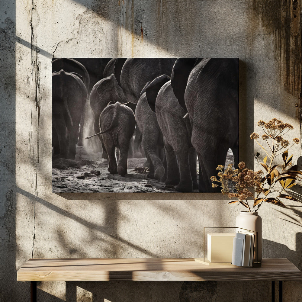 A powerful black and white photograph from a low, rear angle of a herd of elephants walking away. A small baby elephant is centered, protected amongst the larger adults as they kick up dust on the dry ground. Wall Art