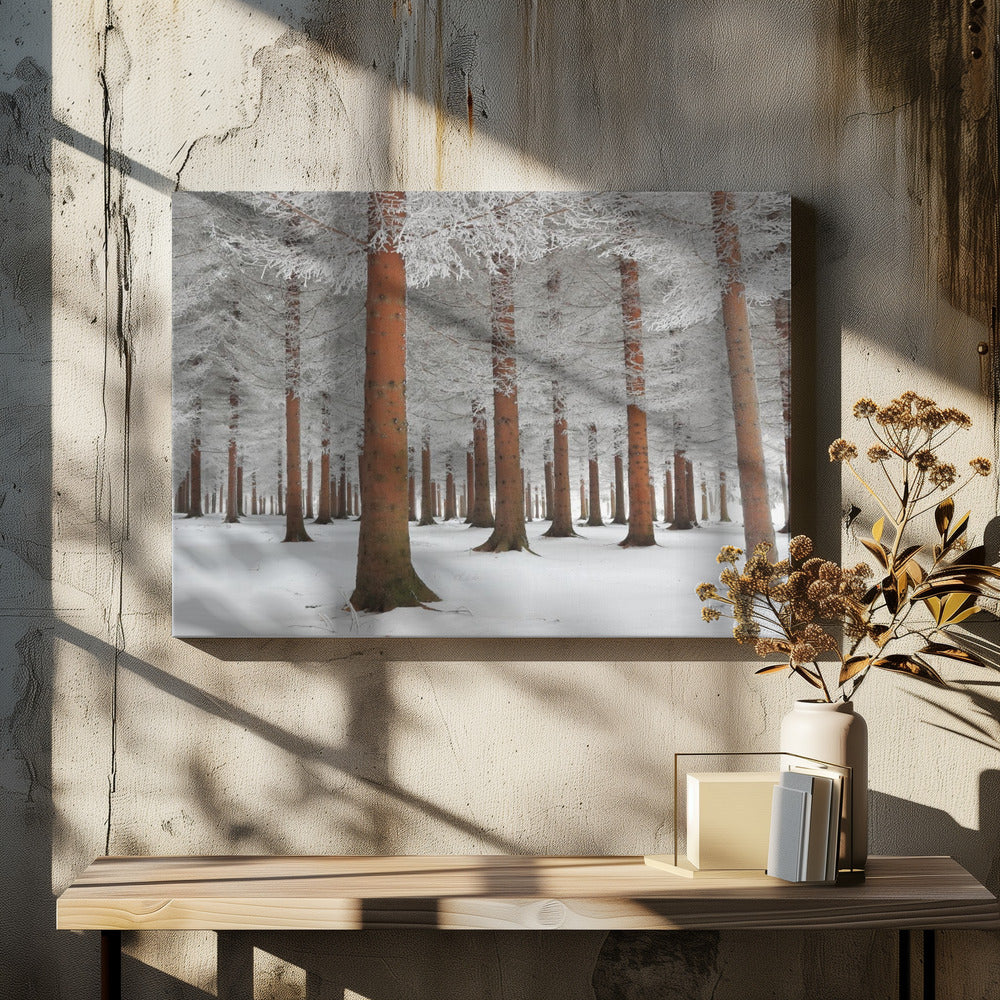 A serene winter forest scene with tall, straight trees whose reddish-brown trunks stand out against the white, snow-covered ground and frost-laden branches, all enclosed in a silver frame. Poster