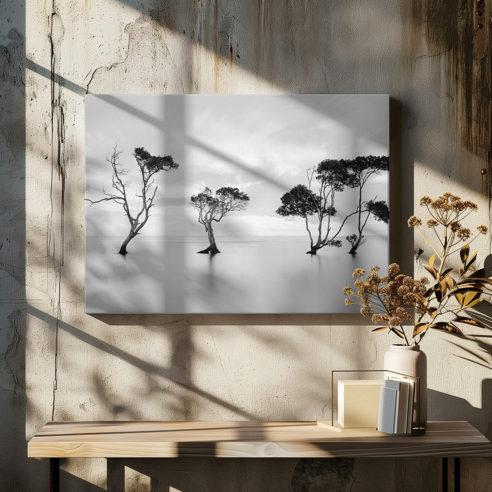 A serene black and white long-exposure photograph of several trees standing in still, calm water. The water is perfectly smooth, reflecting the dark silhouettes of the trees. A soft, cloudy sky hangs overhead, creating a minimalist and tranquil landscape scene, all enclosed in a silver frame. Decor