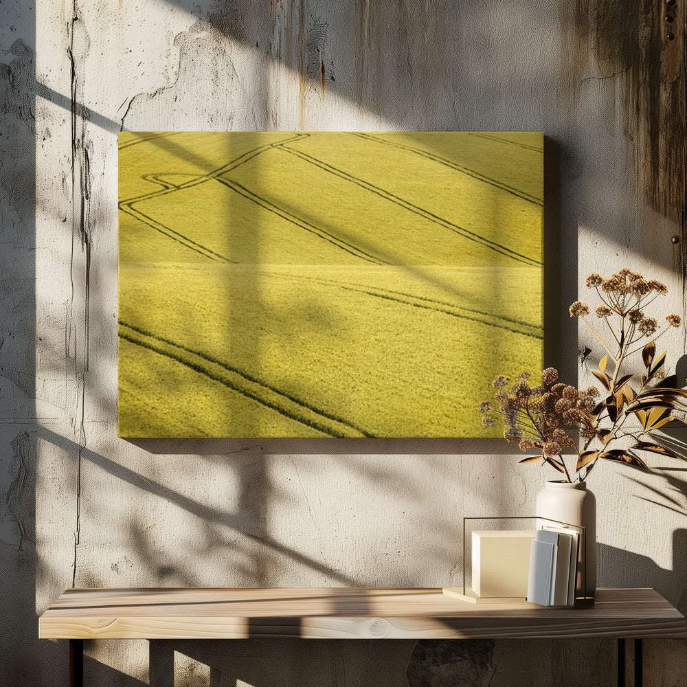 A framed photograph of a vast, rolling field of golden-yellow crops, with dark tractor tire tracks creating curving and diagonal lines across the hilly landscape. Decor