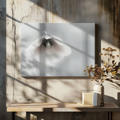 A close-up, soft-focus photograph of a single white poppy flower hanging downwards. The delicate petals are white with a hint of blush, revealing a dark black center. The background is a smooth, light gray, and the entire image is presented in a silver frame. Poster