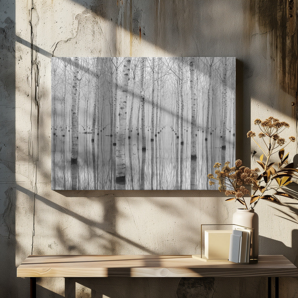 A framed, black and white photograph captures a serene forest of birch trees standing in calm water. The tree trunks are reflected perfectly, creating a striking symmetrical pattern that fades into a misty background. Wall Art