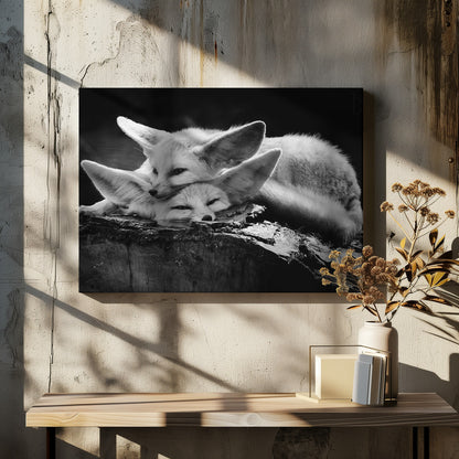A black and white photograph of two fennec foxes cuddling together on a dark piece of wood. One fox rests its head on the other, which has its eyes closed. Their large, prominent ears are a key feature in the composition, set against a dark, out-of-focus background. The image is enclosed in a silver-grey frame. Print