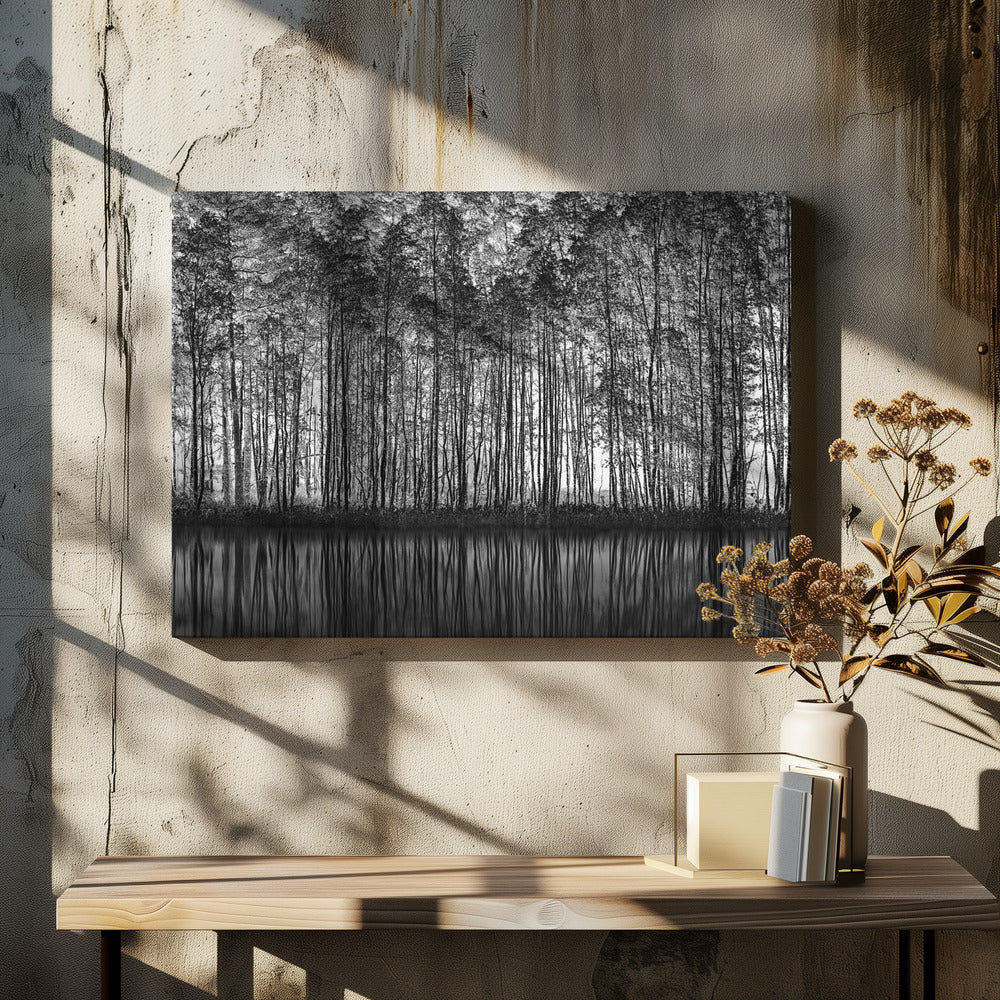 A framed black and white photograph of a dense forest of tall, slender trees reflected perfectly in the calm water below, creating a symmetrical and dramatic landscape. Poster