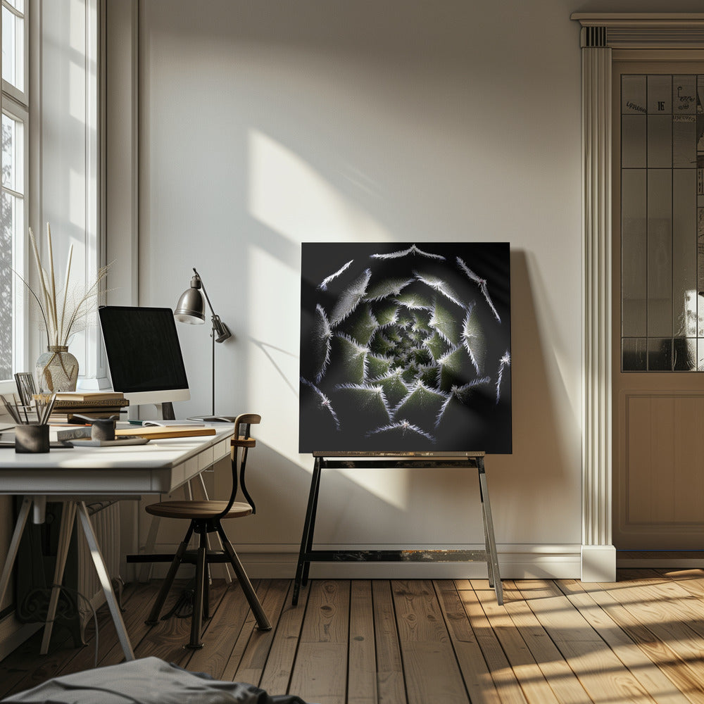 A dramatic, top-down macro photograph of a spiral succulent against a solid black background. The dark green, triangular leaves are outlined with a fine, white, fuzzy fringe, creating a mesmerizing geometric pattern that draws the eye to the center. The image is presented within a light wood frame. Decor
