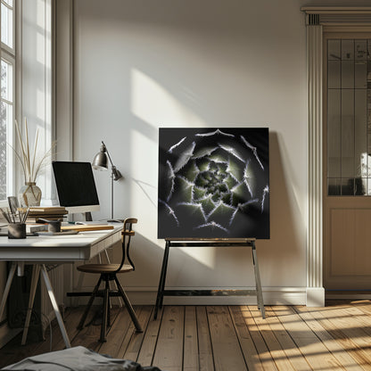 A dramatic, top-down macro photograph of a spiral succulent against a solid black background. The dark green, triangular leaves are outlined with a fine, white, fuzzy fringe, creating a mesmerizing geometric pattern that draws the eye to the center. The image is presented within a light wood frame. Decor