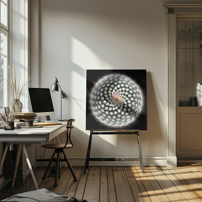 A macro, top-down photograph of a spherical cactus with dense white spines forming a spiral pattern against a stark black background. The artwork is presented in a light wood frame. Artwork