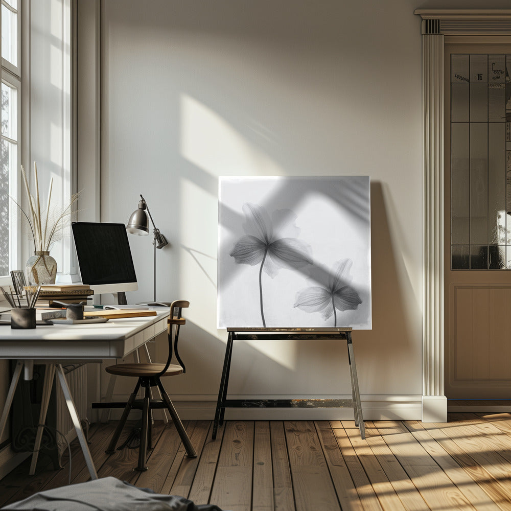 A framed black and white photograph of two translucent flowers seen from behind. Their delicate, paper-like petals are detailed with fine veins against a soft, light gray background. The artwork is enclosed in a simple, light-colored wooden frame. Wall Art