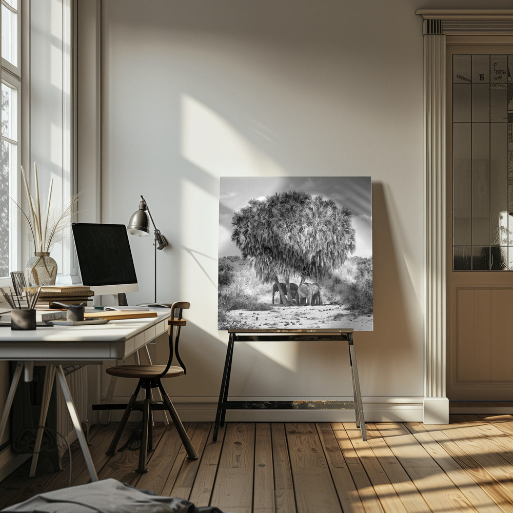 A black and white photograph of a small herd of elephants taking shelter from the sun under the dense foliage of a large palm tree in a dry, arid landscape. The photo is presented in a light wood frame. Poster
