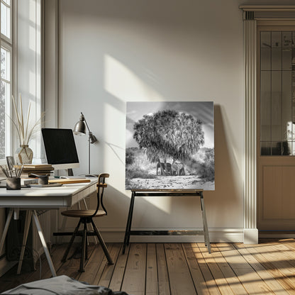 A black and white photograph of a small herd of elephants taking shelter from the sun under the dense foliage of a large palm tree in a dry, arid landscape. The photo is presented in a light wood frame. Poster
