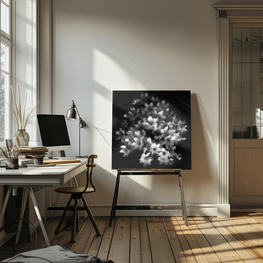 A moody black and white close-up photograph of a cluster of small, delicate star-shaped flowers against a solid black background, presented in a light brown wooden frame. Poster