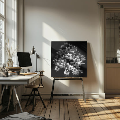 A moody black and white close-up photograph of a cluster of small, delicate star-shaped flowers against a solid black background, presented in a light brown wooden frame. Poster