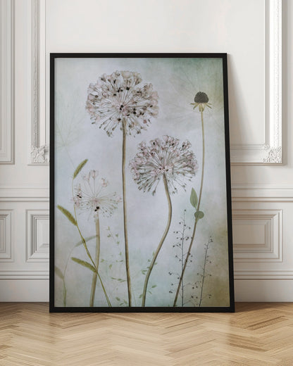 A framed botanical artwork featuring a variety of delicate wildflowers, including several large, round, light pink allium heads with dark centers, on long slender stems against a pale, textured green and beige background. Decor